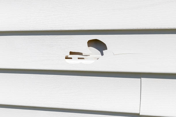 Best Vinyl Siding Installation  in Somers, WI